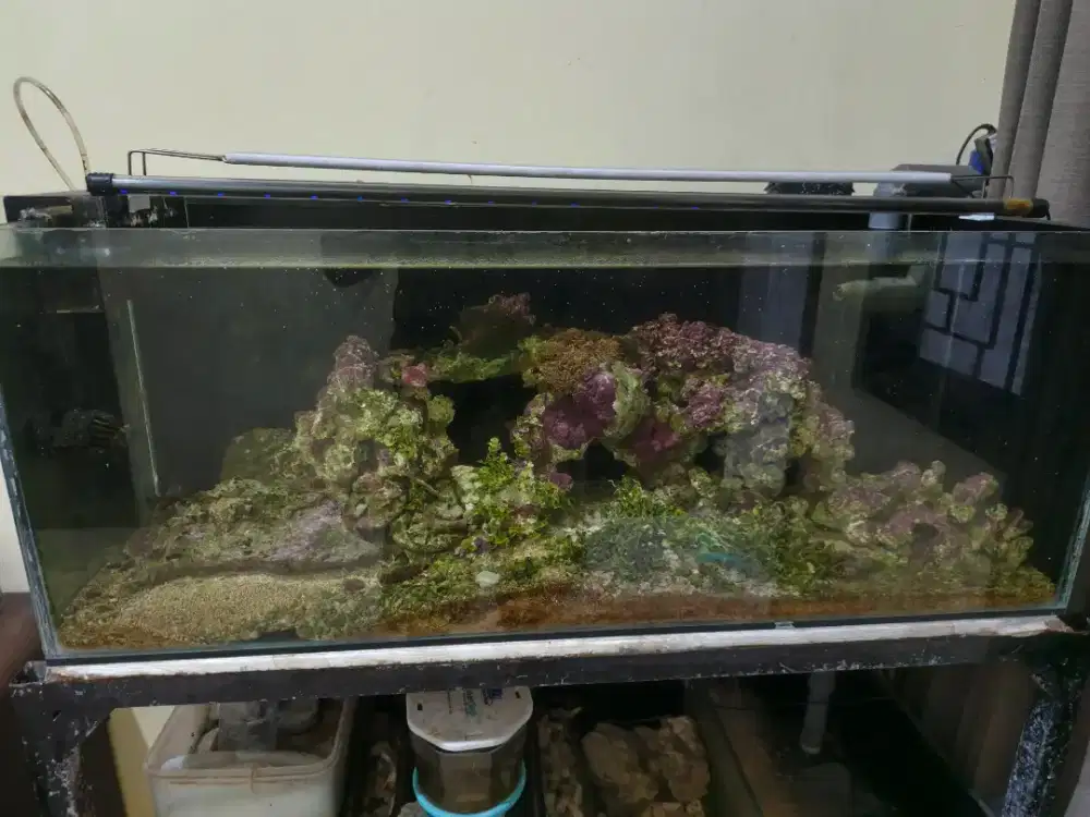 Jual akuarium air laut
