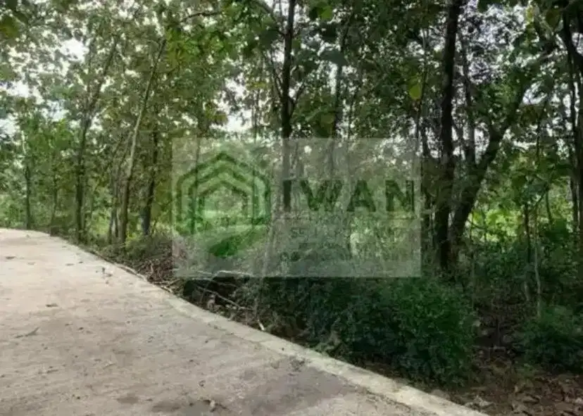 Tanah Luas & Murah (Bisa Perluasan)