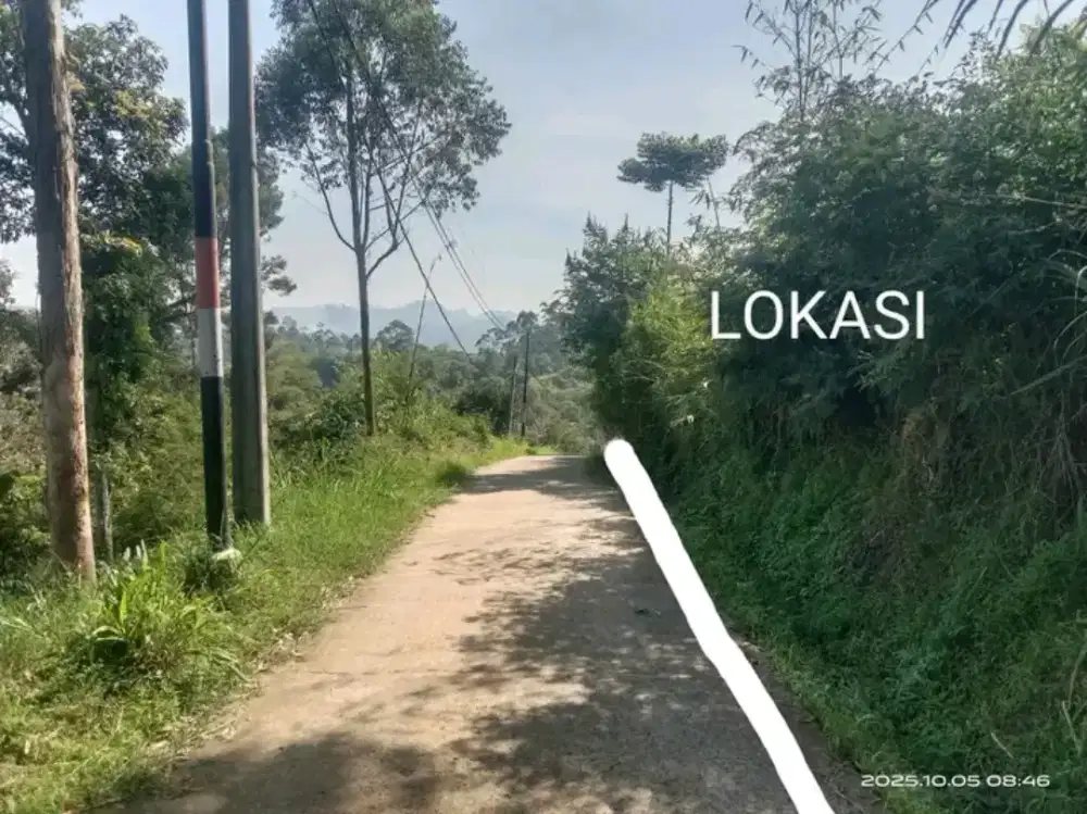 Dijual tanah pinggir jalan desa dengan luas tanah 85-tumbak/1.190m²