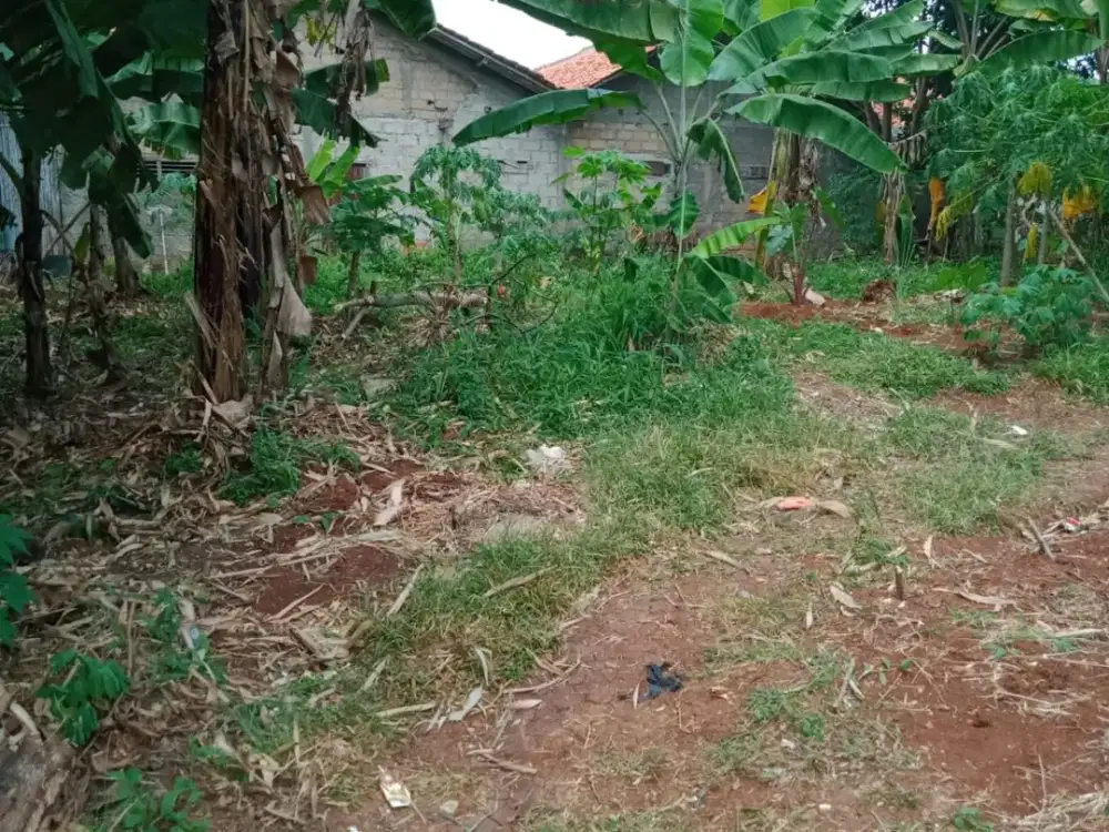 Tanah 210 m2 akses motor jual murah Kalibaru Depok