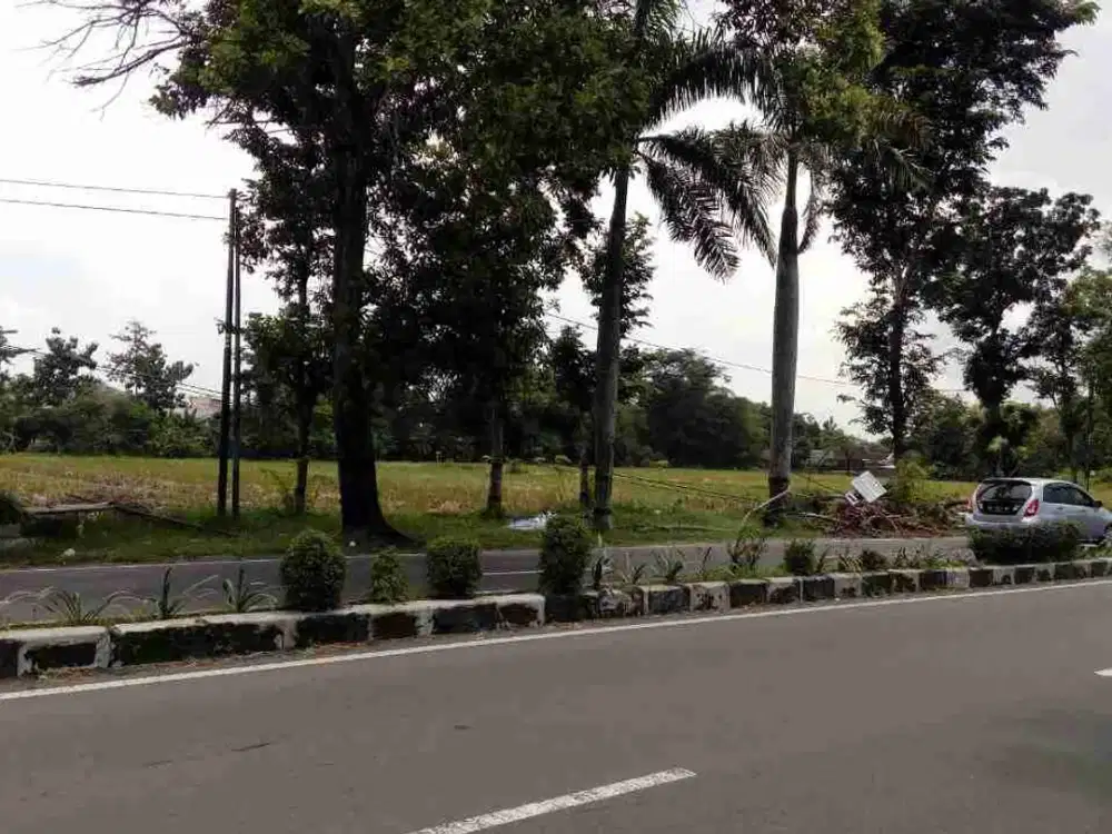 Tanah Lahan Luas 20.776m² Pekarangan pinggir Jalan raya karanganyar