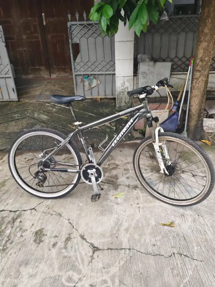 MTB element graviton 1 0