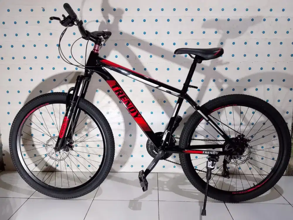 Sepeda gunung/MTB Trendy