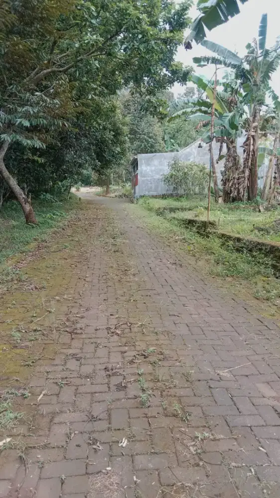 TANAH harga  MURAH  SHM DEKAT UNNES