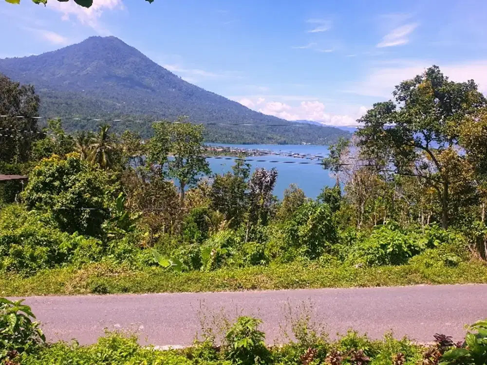 TANAH MURAH BERISI POHON JATI DI SISI JALAN UTAMA PENGHUBUNG KAB.OKU SELATAN SUM-SEL DENGAN KAB.LAMPUNG BARAT, VIEW PANTAI ATAU DANAU RANAU