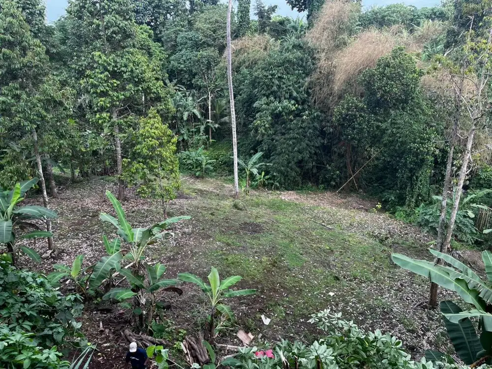 Disewakan Tanah Riverside & Jungle View