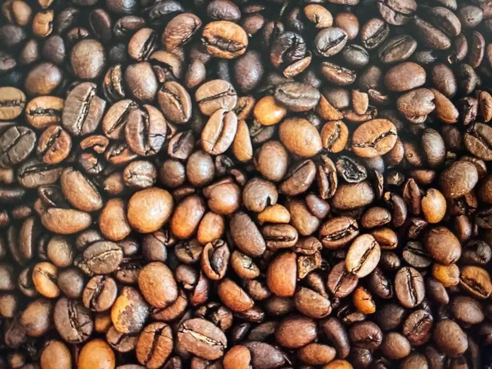 Dicari Barista untuk Cafe daerah Dharmawangsa