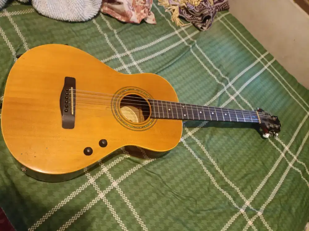 Gitar Gregbanet Junior