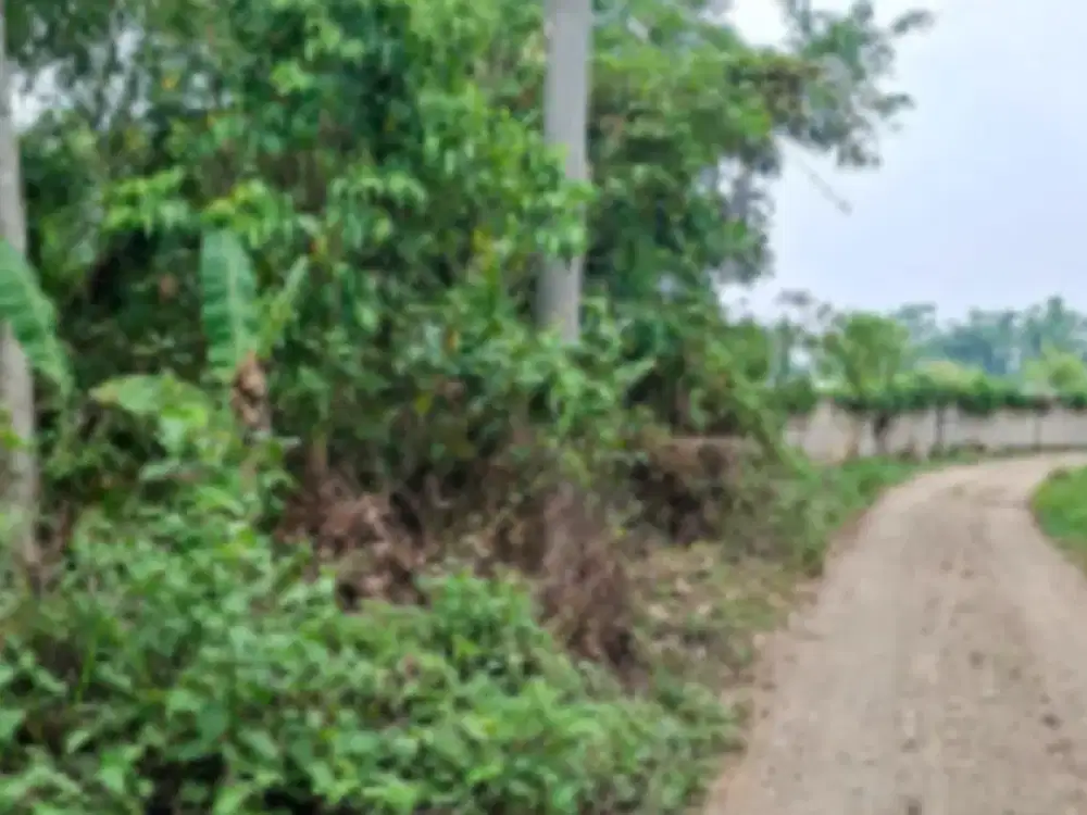 TANAH DIJUAL – KABUPATEN LEBAK