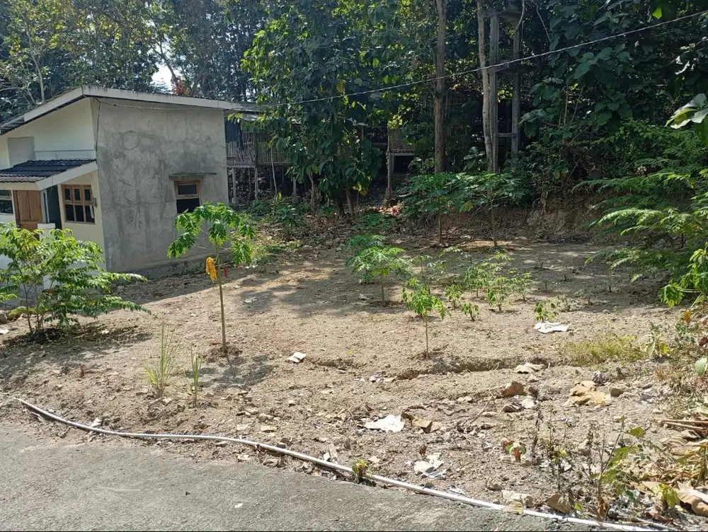 Dijual cepat butuh uang