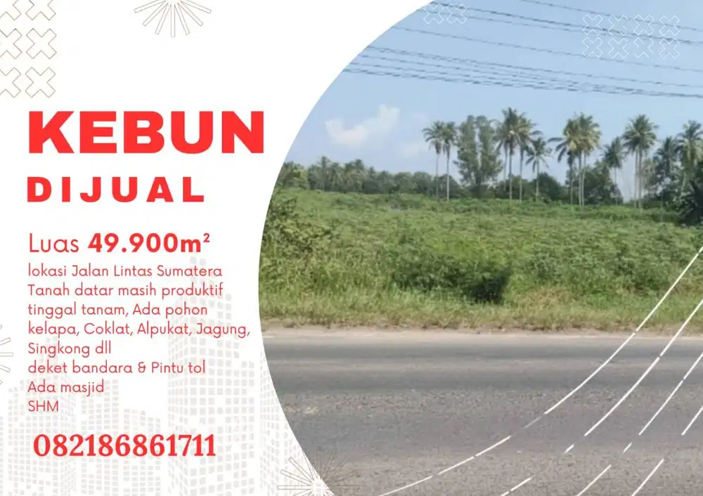 Dijual Kebun Produktif dipinggir jalan Lintas Sumatera