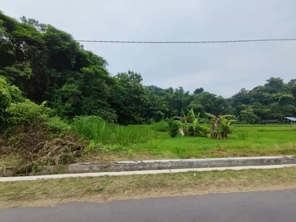 Tanah Strategis Dekat Jogja–Solo Berbah – Luas 1,3 Ha – 550 Rb/m²