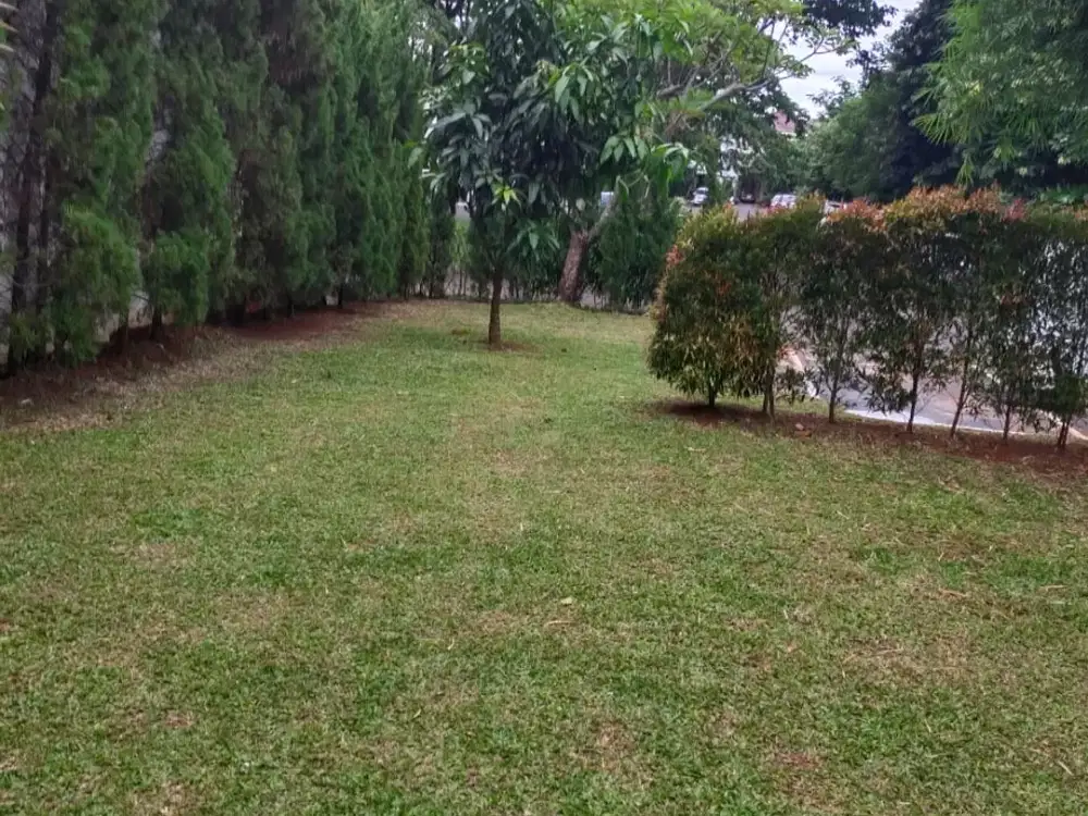 Dijual Kavling Feronia Alam Sutera