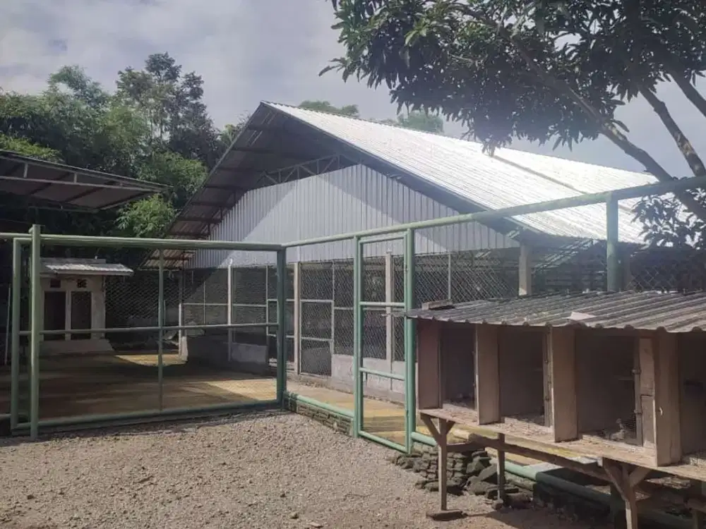 Tanah dan peternakan siap pakai di lingsar