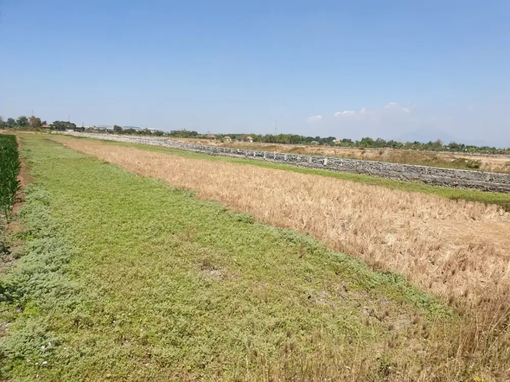 tanah dijual wringin anom gresik