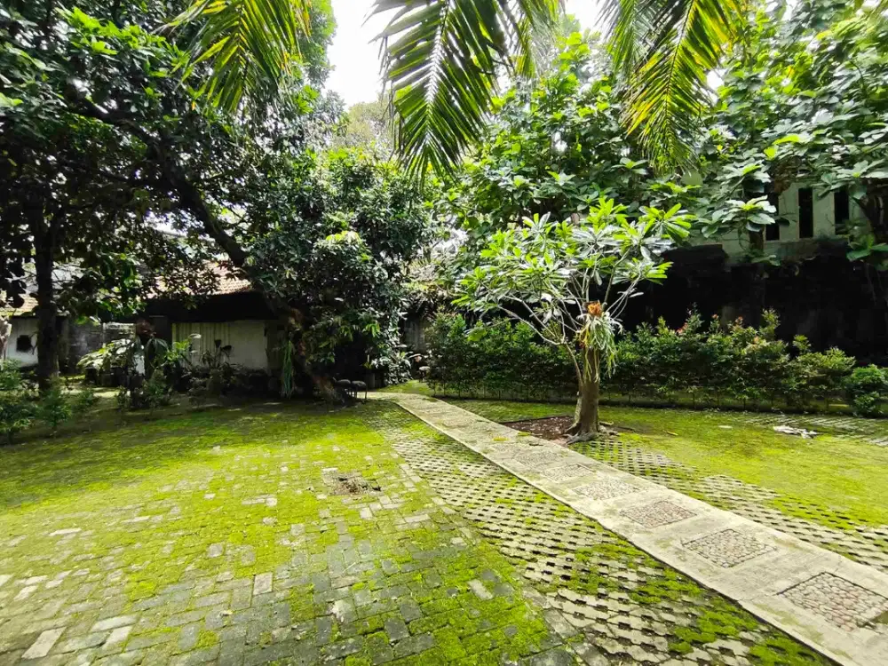 Disewakan lahan 550 mtr strategis di ciputat cocok  untuk restauran atau cafe