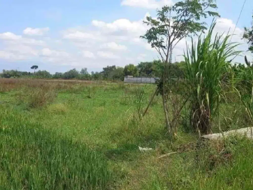 Jual Tanah Luas di Wonosari Klaten siap bangun