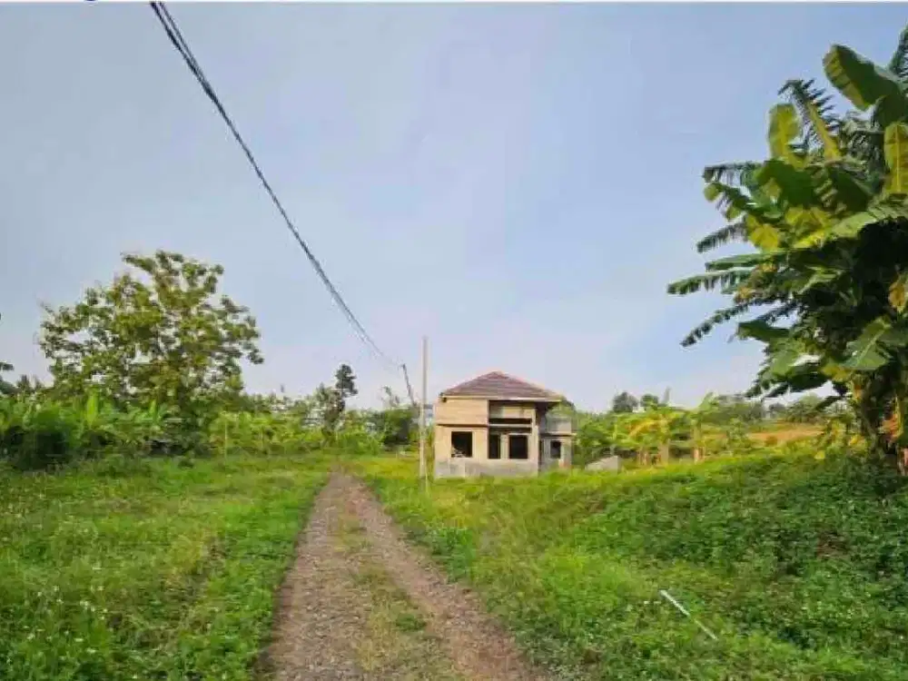 Jual Tanah Untuk Perumahan di Ngaliyan