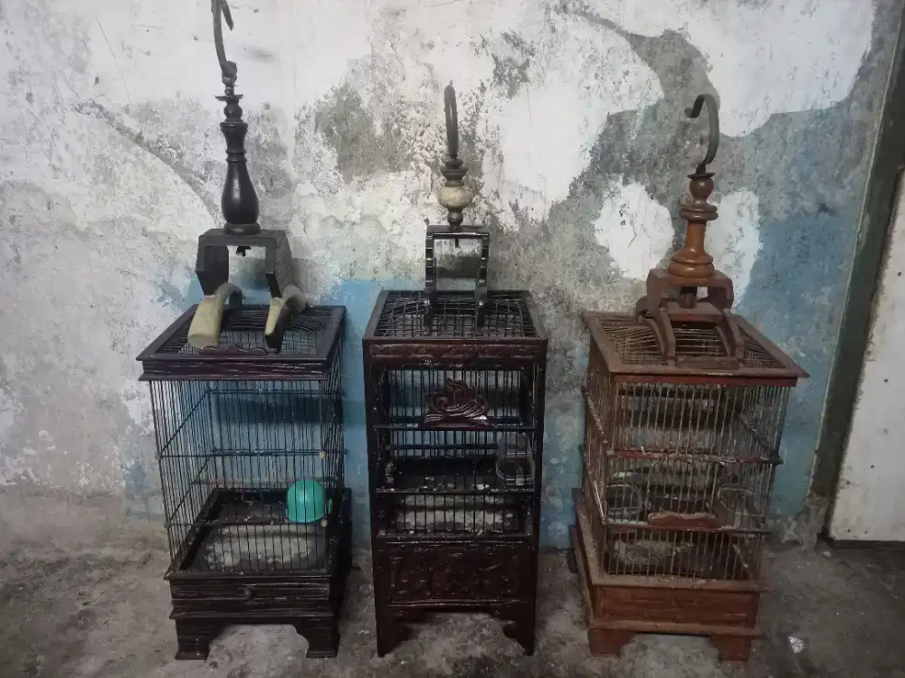 Sangkar Burung Kecil