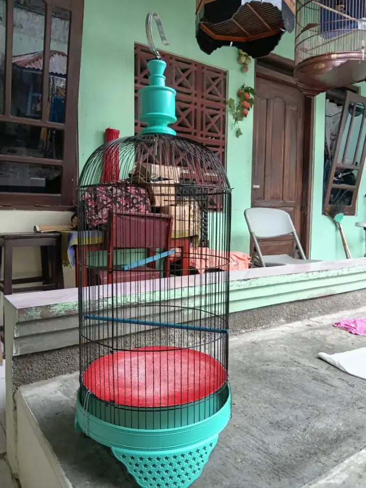 Sangkar labet masih bagus