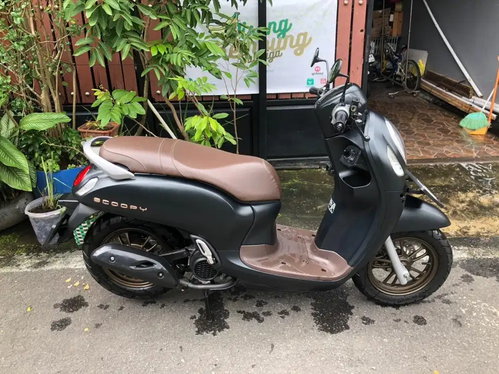 Scoopy Prestige 2024