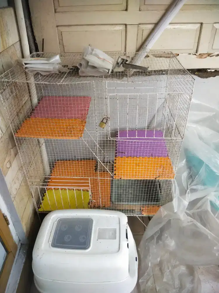 Kandang kucing second