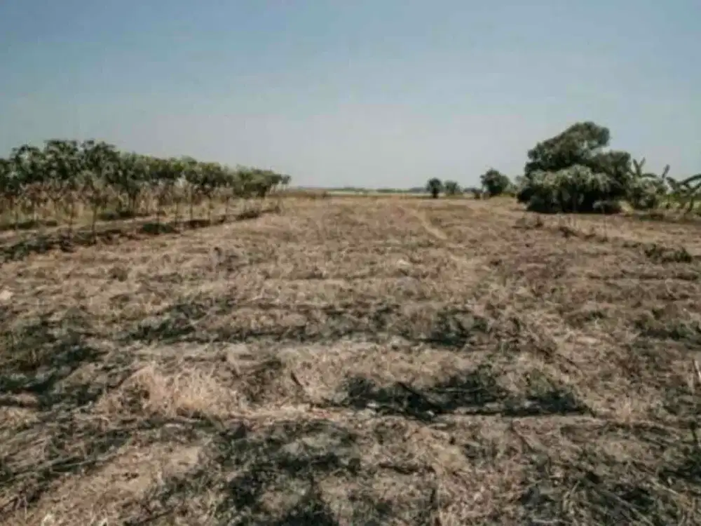 Jual Tanah Kavling 125 rb per meter