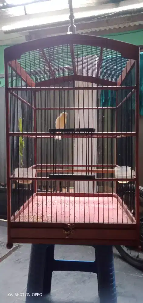 Jual sangkar kayu no 1/barter no 2-3 masuk
