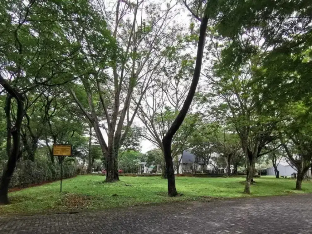 Kavling Foresta Bsd Cluster Giardina Luas 600 Meter Siap Bangun