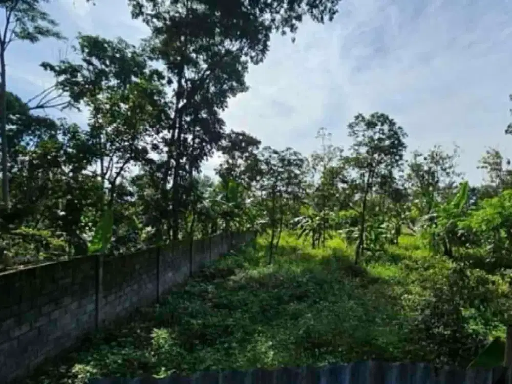 Jual Tanah Siap Bangun di Gendu Bandungan Kawasan Wisata