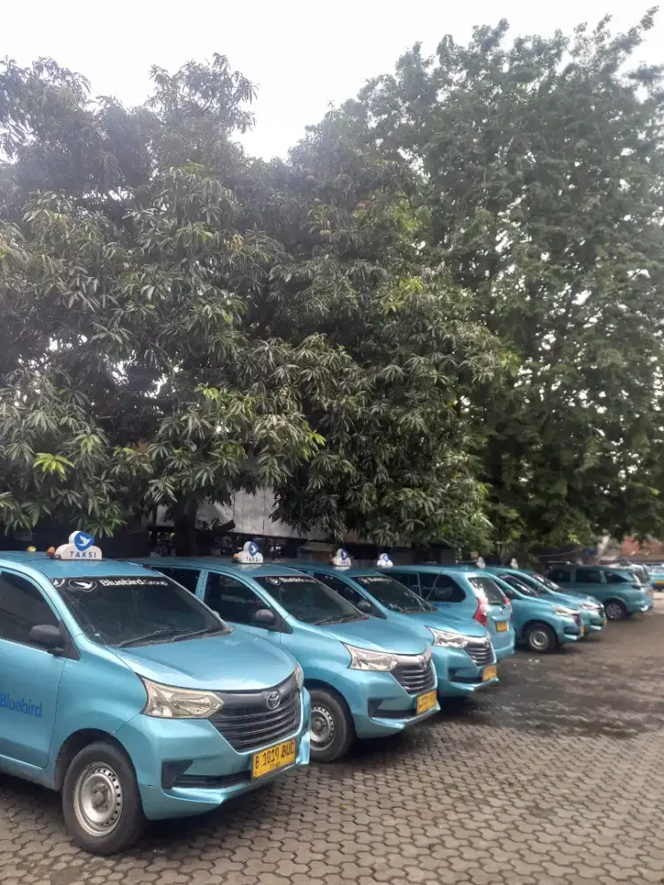 Lowongan Driver Taksi Bluebird Mampang Jakarta Selatan