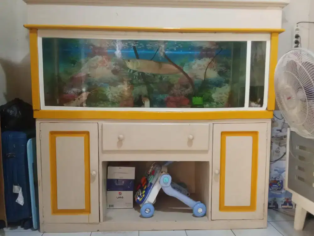 Lemari Aquarium + Ikan Arwana