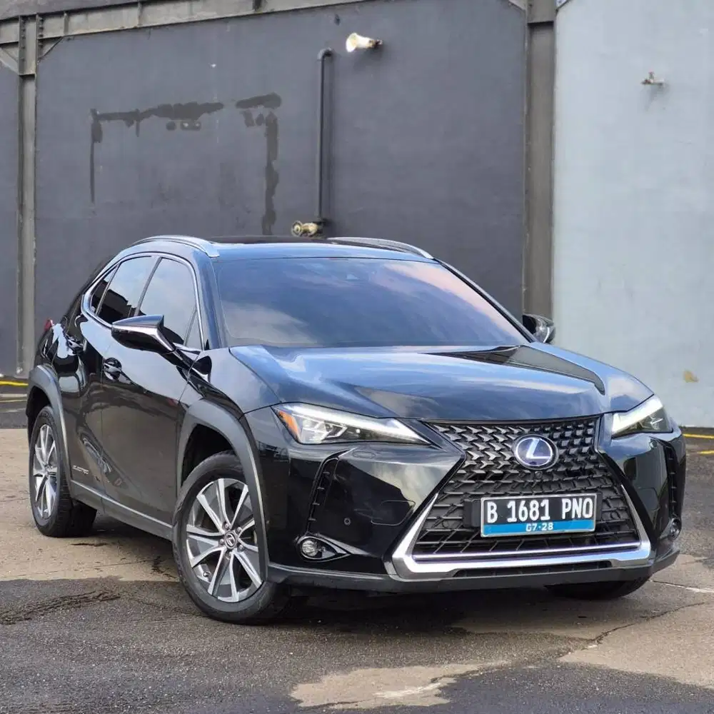 Lexus UX300E 2022 Listrik ( Ux300 )
