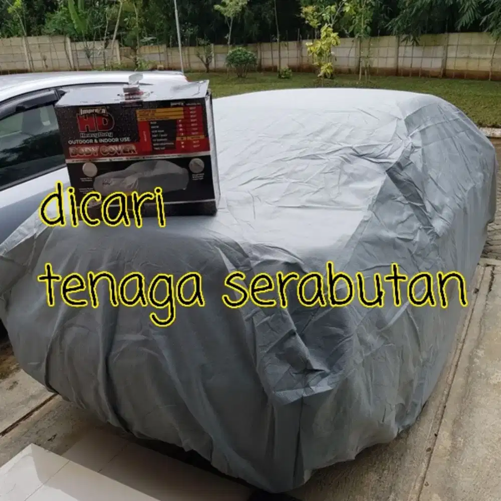 Dicari tenaga serabutan