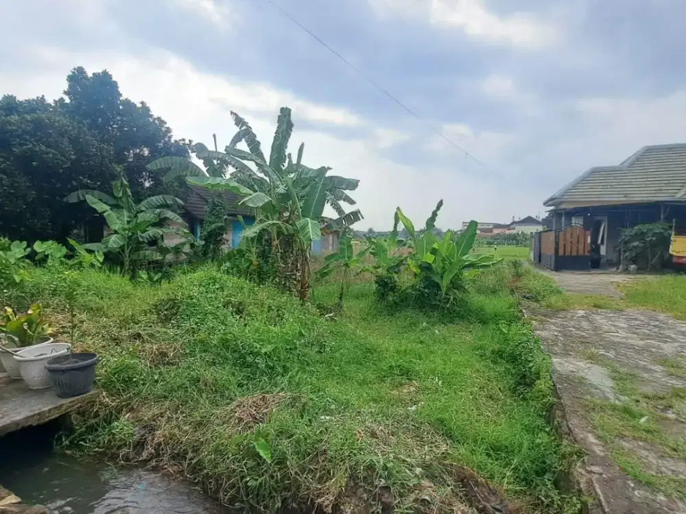 Dijual Lahan Sawah Strategis di Dekat Kampus & Ring Road Selatan Bangunharjo, Sewon, Bantul