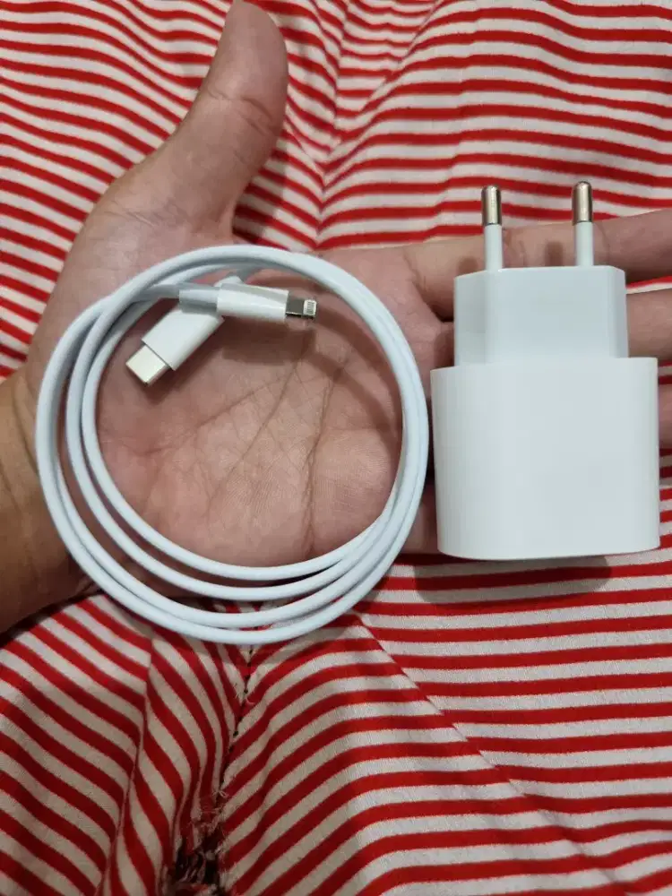 Charger iPhone Real Fast Charging