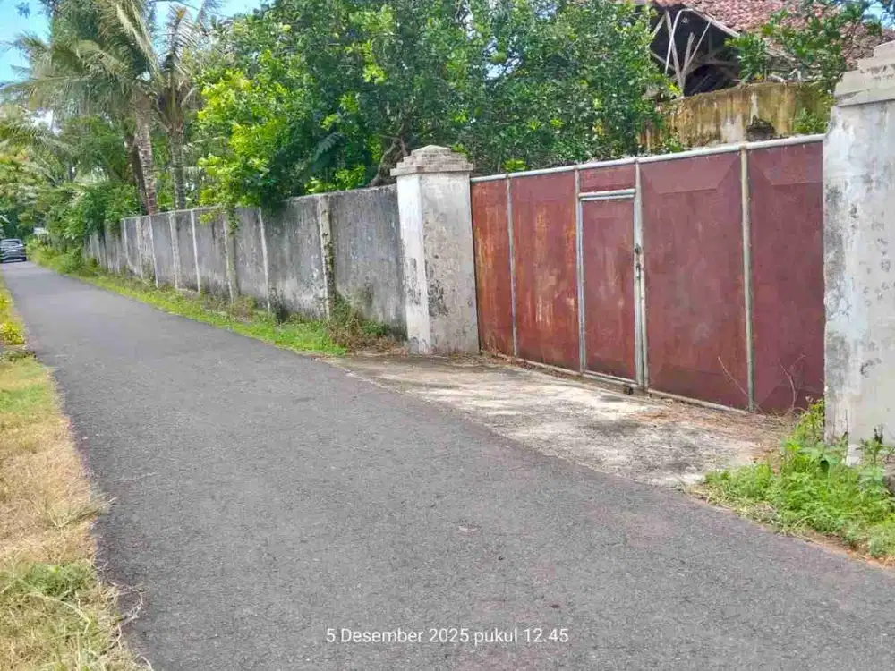 dijual via lelang aset macet tanah mumbulsari jember