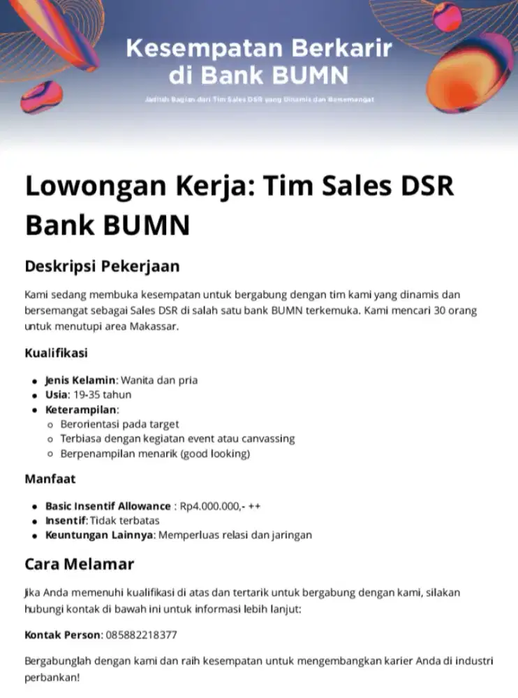 Team DSR bank BUMN funding