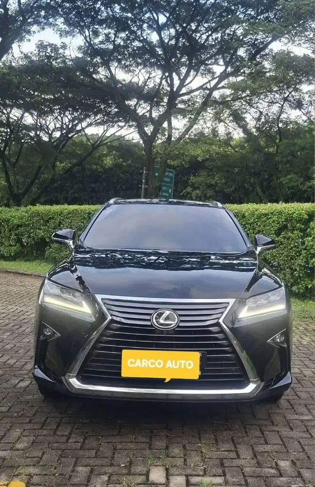 Lexus RX300 2.0L Luxury 2018 Record