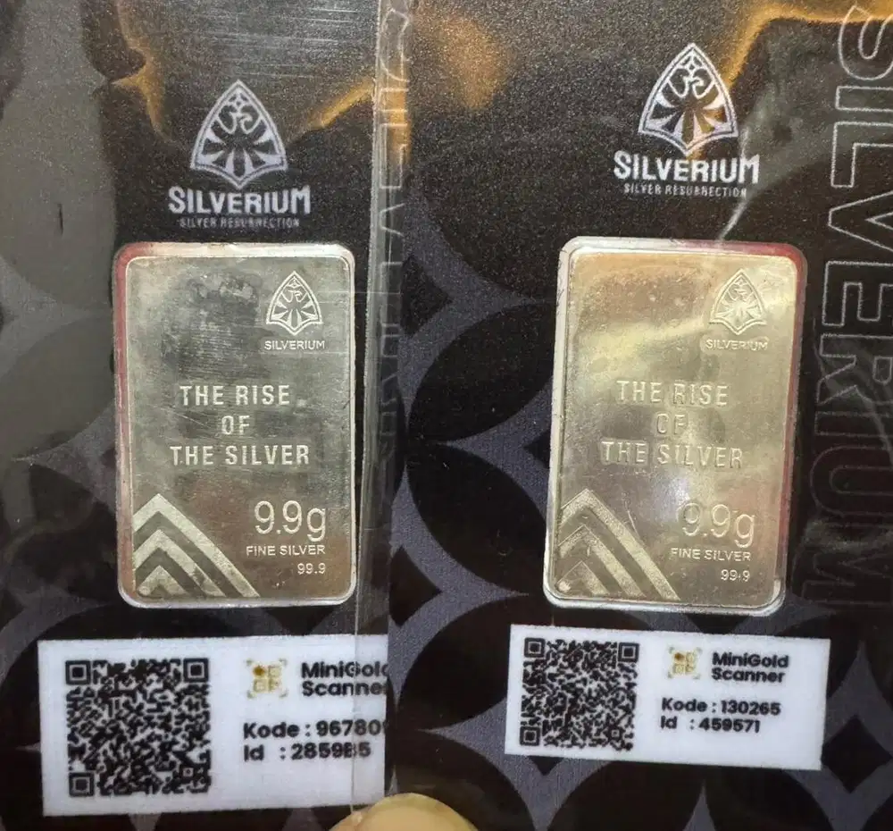 MiniGold SILVERIUM 9.9g