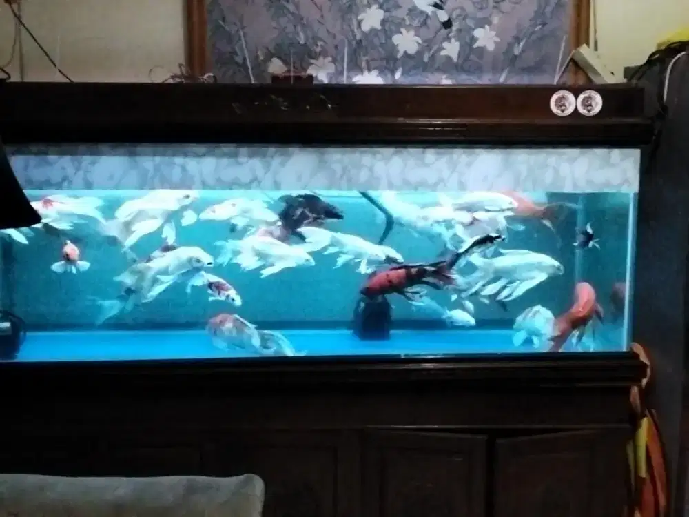 Aquarium dan buffet jati jepara