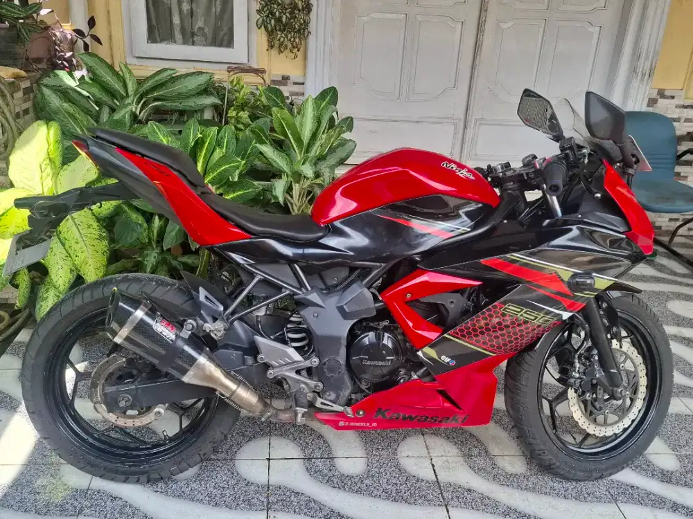 Kawasaki Ninja Mono 250