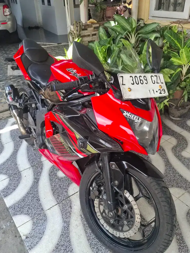 Kawasaki Ninja 250 mono