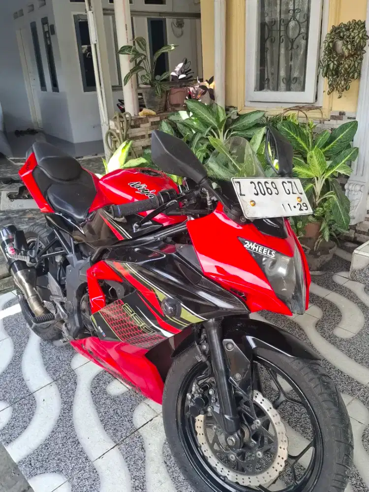 Kawasaki Ninja Mono  250cc