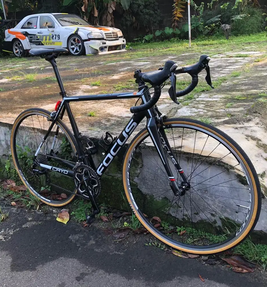 Roadbike Focus Cayo Size M (standar pabrikan).