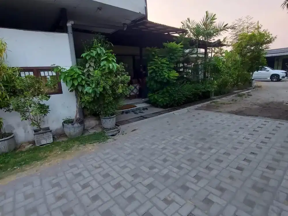 Termurah Rumah Hitung Tanah, Nol Jln Raya Arief Rahman Hakim, SBY