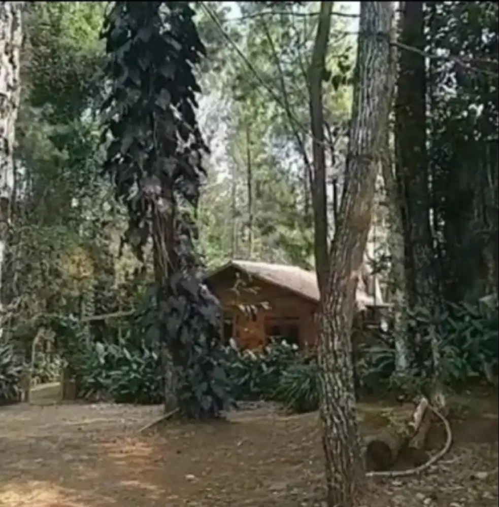 Dijual Tanah Bukit Lembang Maribaya Bandung Dekat Villa Strategis