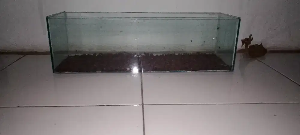 Aquarium ukuran 15x15x50+ pasir