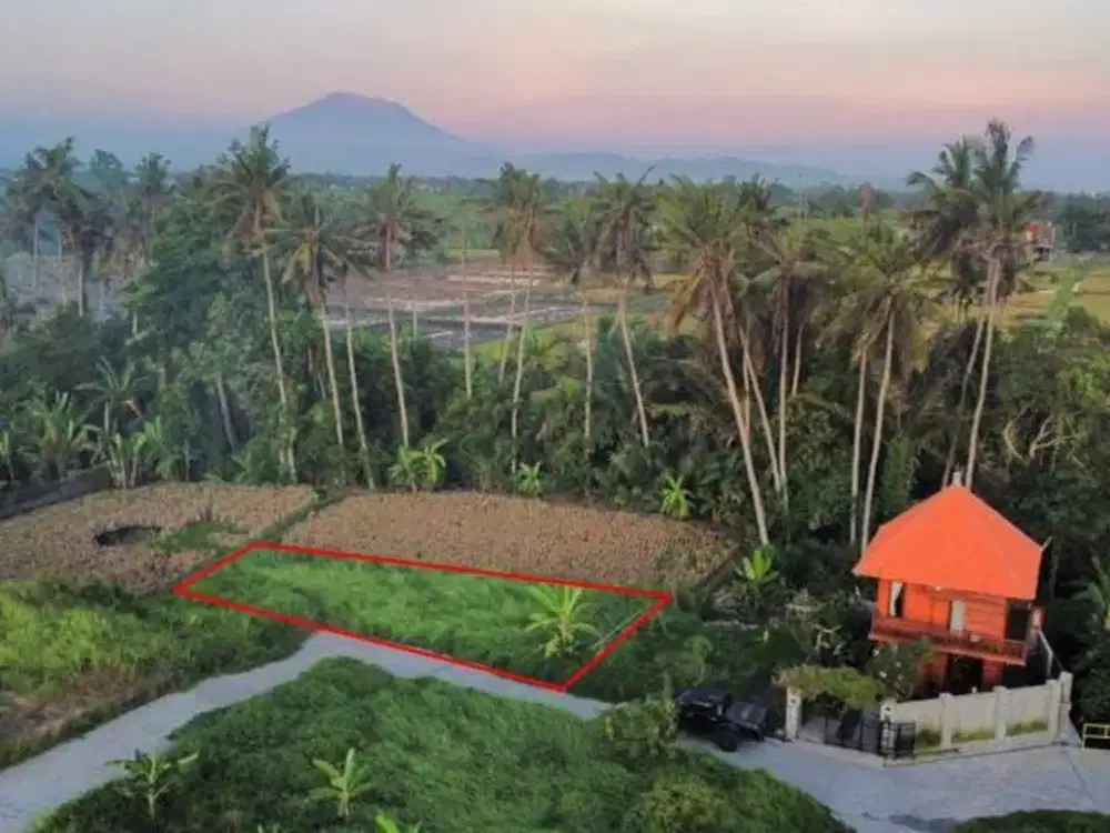 Tanah Bagus 2,5 Are View Sawah Dijual, di Guwang, Gianyar Area