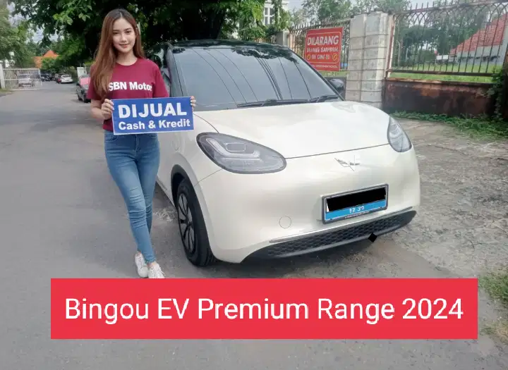 Wuling Binguo EV Premium Range 2024